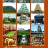 ನೋಡುವ ಬೀಡುಗಳು
